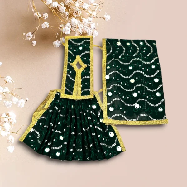 Sari Set Lahnga Patka Poshak for Mata Rani