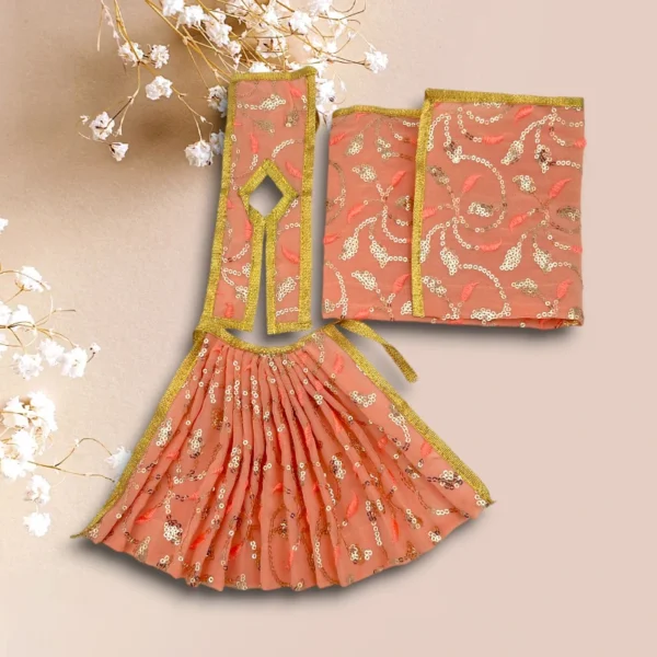 Sari Set Lahnga Patka Poshak for Mata Rani