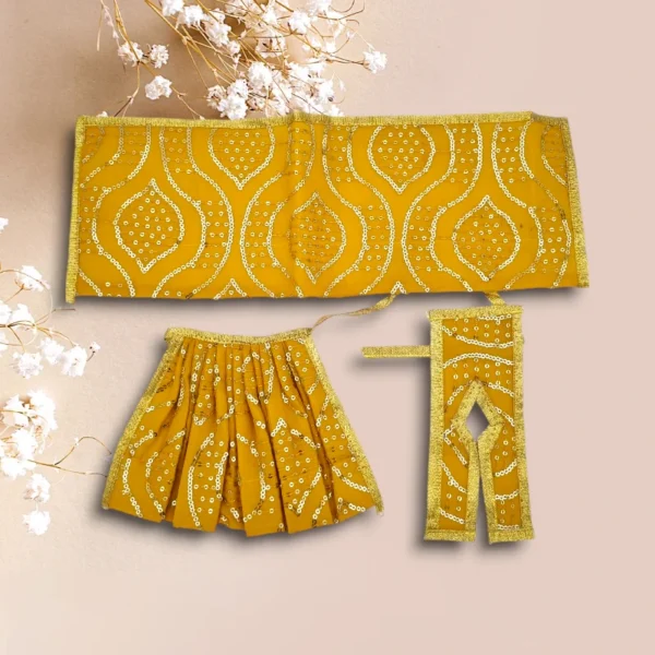 Sari Set Lahnga Patka Poshak for Mata Rani