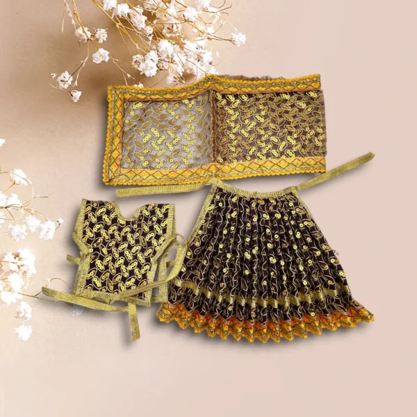 Sari Set Lahnga Patka Poshak for Mata Rani