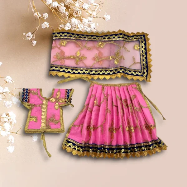 Sari Set Lahnga Patka Poshak for Mata Rani