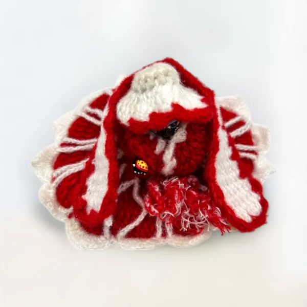 Red and White 4 Piece Winter Woolen Dress for Laddu Gopal, Krishna and Radha Rani.
