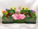 Garden for Laddu Gopal