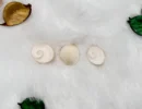 Gomti Chakra